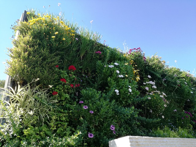 barreira acustica viva batalha 42