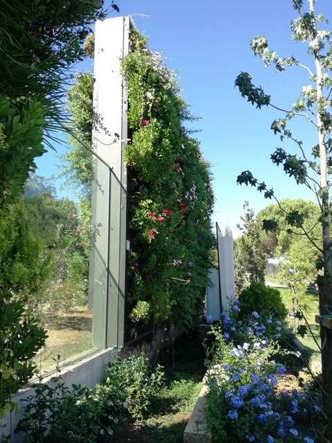 barreira acustica viva batalha 43