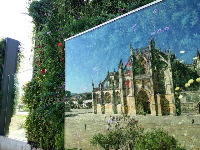 barreira acustica viva batalha 45