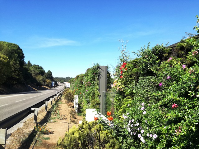 barreira acustica viva batalha 54