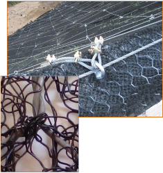 image 3d mat vida r mais