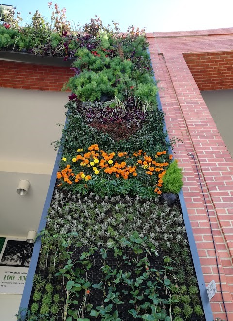 jardim vertical sistema arcovertical obra selecionada 14