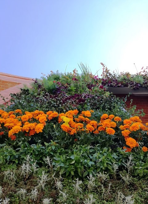 jardim vertical sistema arcovertical obra selecionada 15