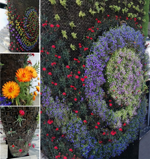 jardim vertical sistema arcovertical obra selecionada 2