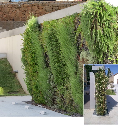 jardim vertical sistema arcovertical obra selecionada 4