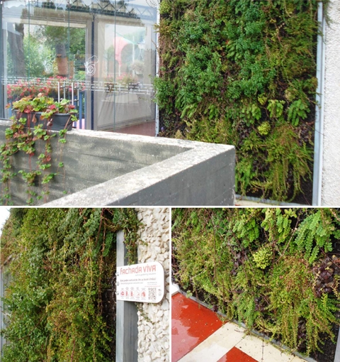 jardim vertical sistema arcovertical obra selecionada 5