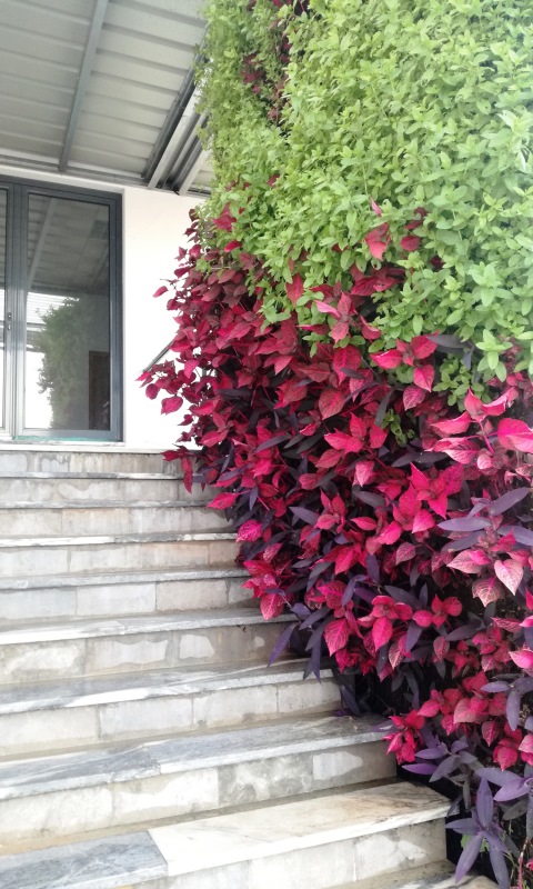 jardim vertical sistema arcovertical obra selecionada 6