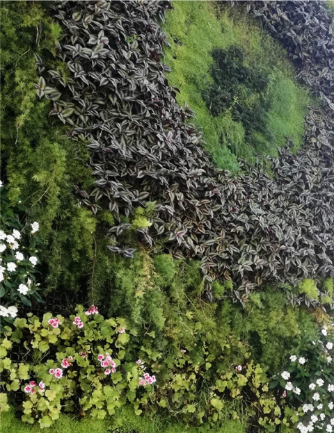 jardim vertical sistema arcovertical obra selecionada 7