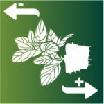 substituicao especimes 150x150